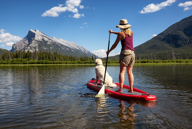 How to Paddle Board with Your Dog featured