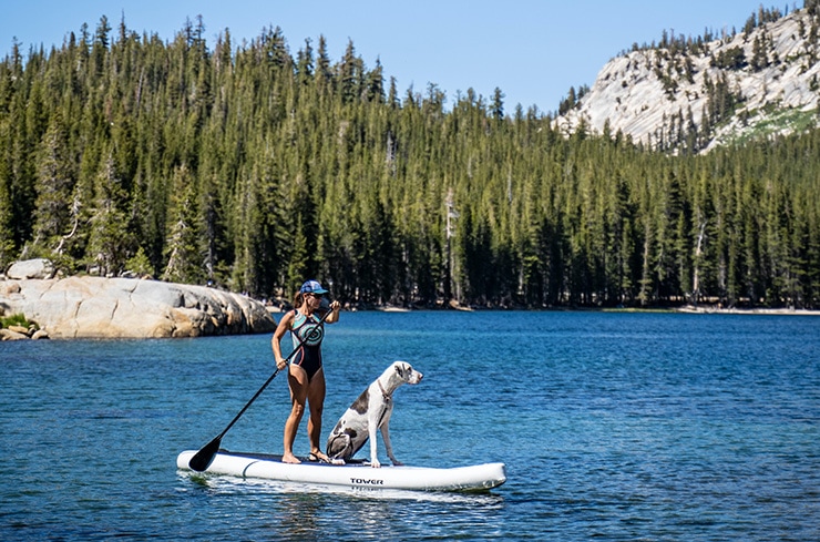 are cheap paddle boards any good featured
