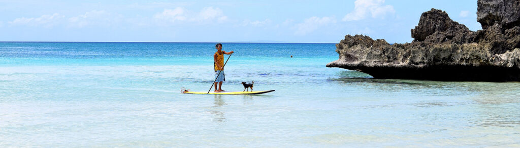 best paddle board accessoires